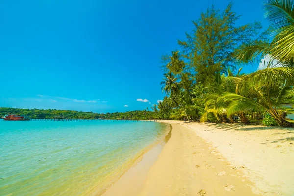 Nádherná tropická pláž a moře s kokosu palmou v parad — Stock fotografie