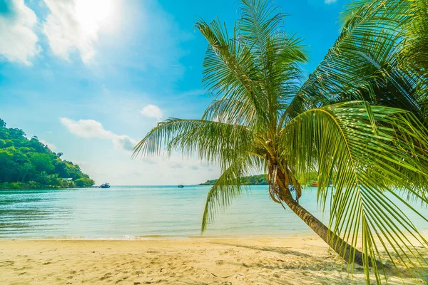 Hermosa playa tropical y mar con palmera de coco en desfile —  Fotos de Stock