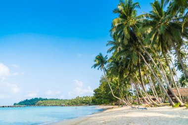 Güzel tropikal plaj ve deniz