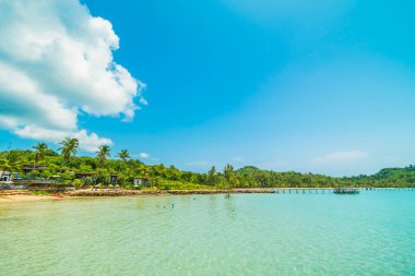 Güzel tropikal plaj ve deniz parad Hindistan cevizi hurma ağacı ile