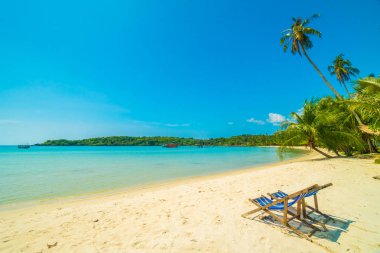 Güzel tropikal plaj ve deniz parad Hindistan cevizi hurma ağacı ile