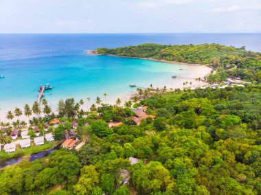 Güzel doğa tropikal plaj ve deniz ile Hindistan cevizi hurma ağacı o