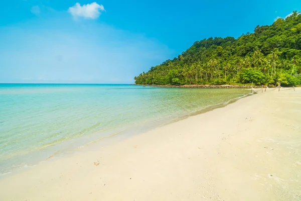 Vackra tropiska stranden och havet med coconut Palm i parad — Stockfoto