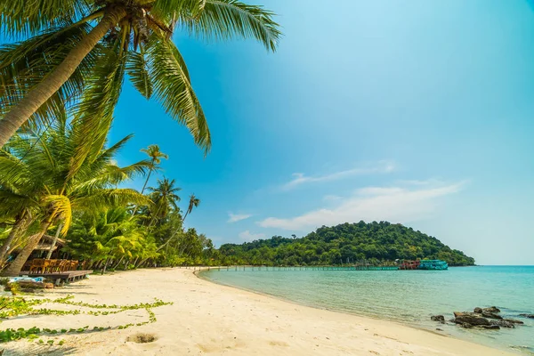 Wunderschöner tropischer Strand und Meer mit Kokospalmen in Parad — Stockfoto