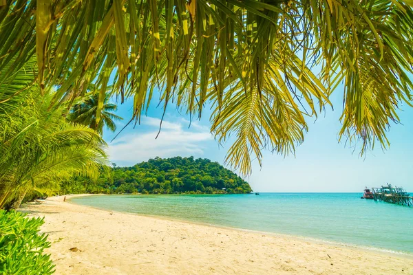 Beautiful tropical beach and sea with coconut palm tree in parad — Stock Photo, Image