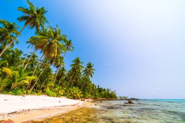 Deniz ve plaj manzara ile güzel cennet ada