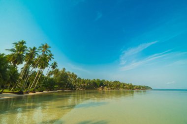 Güzel cennet ada plaj ve deniz