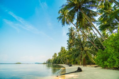 Güzel cennet ada plaj ve deniz
