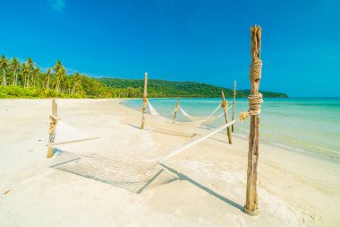 Hindistan cevizi ağaçları ve deniz ile güzel tropik sahilde arka plan hamak