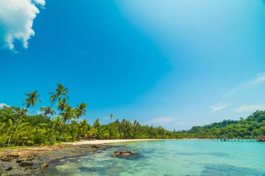 Güzel tropikal plaj ve deniz parad Hindistan cevizi hurma ağacı ile