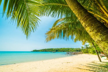 Güzel tropikal plaj ve deniz parad Hindistan cevizi hurma ağacı ile