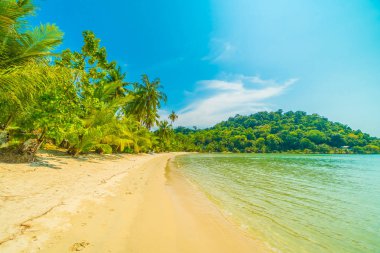Güzel tropikal plaj ve deniz parad Hindistan cevizi hurma ağacı ile