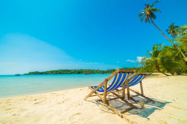 Güzel tropikal plaj ve deniz parad Hindistan cevizi hurma ağacı ile