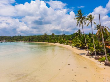 Plaj ve deniz ile Hindistan cevizi hurma ağacı güzel havadan görünümü