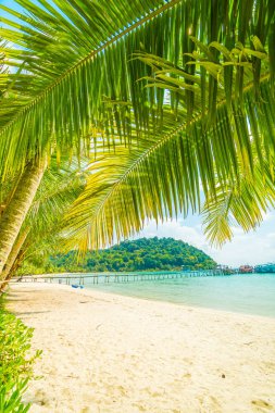 Güzel tropikal plaj ve deniz parad Hindistan cevizi hurma ağacı ile