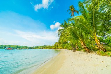 Güzel tropikal plaj ve deniz parad Hindistan cevizi hurma ağacı ile
