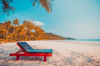 Güzel doğa tropikal plaj ve sandalye ve Hindistan cevizi p ile