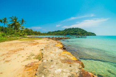 Güzel tropikal plaj ve deniz parad Hindistan cevizi hurma ağacı ile