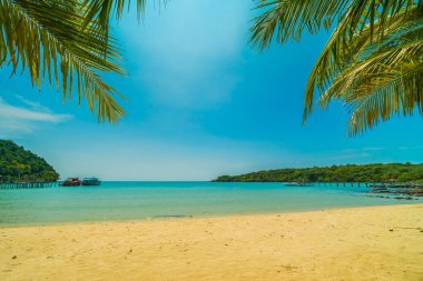 Güzel tropikal plaj ve deniz parad Hindistan cevizi hurma ağacı ile