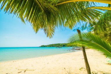 Güzel tropikal plaj ve deniz parad Hindistan cevizi hurma ağacı ile