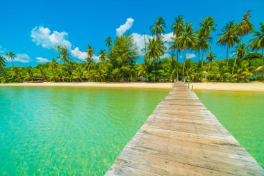 Ahşap iskele veya tropikal plaj ve Deniz Paradise ile köprü