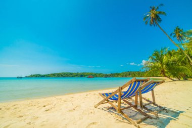 Güzel tropikal plaj ve deniz parad Hindistan cevizi hurma ağacı ile