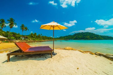 Güzel tropikal plaj ve deniz parad Hindistan cevizi hurma ağacı ile