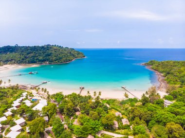 Güzel doğa tropikal plaj ve deniz ile Hindistan cevizi hurma ağacı o