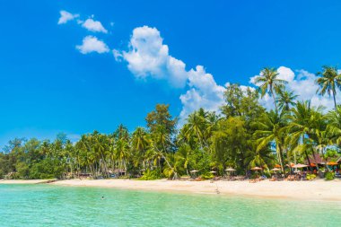 Güzel tropikal plaj ve deniz