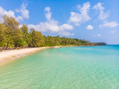 Güzel bir plaj ve deniz Hindistan cevizi hurma ağacı ile havadan görünümü