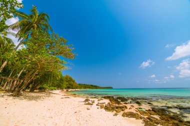 Güzel cennet tropikal plaj ve deniz