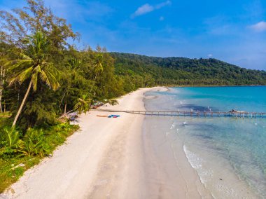 Plaj ve deniz ile Hindistan cevizi hurma ağacı güzel havadan görünümü