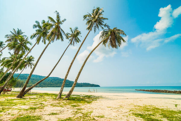 Beautiful tropical beach and sea with coconut palm tree in parad