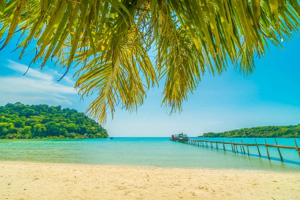 Beautiful tropical beach and sea with coconut palm tree in parad — Stock Photo, Image