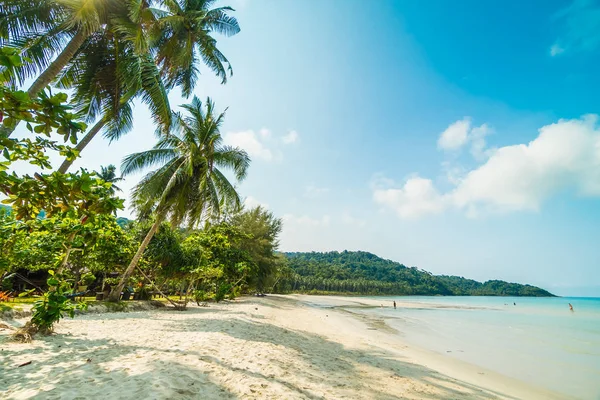 Bela praia tropical e mar com coqueiro em parad — Fotografia de Stock