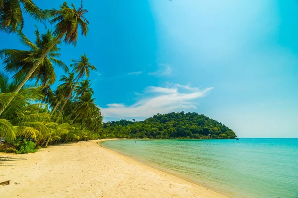 Hermosa playa tropical y mar con palmera de coco en desfile — Foto de Stock