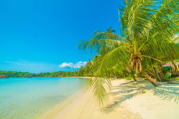 Belle plage tropicale et mer avec cocotier en parad — Photo