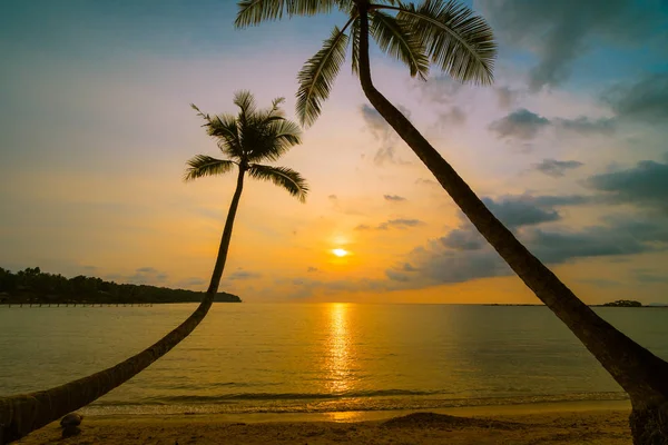 Wunderschöne paradiesische Insel mit Strand und Meer rund um Kokospalmen — Stockfoto