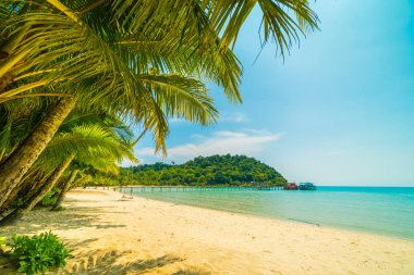 Güzel tropikal plaj ve deniz parad Hindistan cevizi hurma ağacı ile