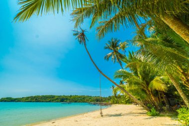 Güzel tropikal plaj ve deniz parad Hindistan cevizi hurma ağacı ile