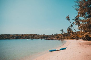 Güzel tropikal plaj ve deniz parad Hindistan cevizi hurma ağacı ile
