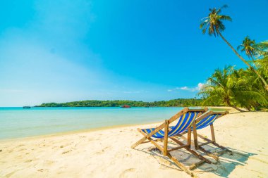 Güzel tropikal plaj ve deniz parad Hindistan cevizi hurma ağacı ile