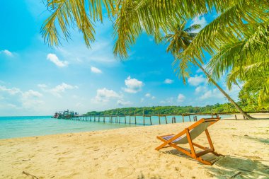 Güzel tropikal plaj ve deniz parad Hindistan cevizi hurma ağacı ile