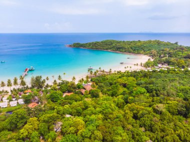 Güzel doğa tropikal plaj ve deniz ile Hindistan cevizi hurma ağacı o