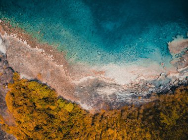 Güzel doğa tropikal plaj ve deniz ile Hindistan cevizi hurma ağacı o