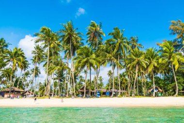 Güzel tropikal plaj ve deniz