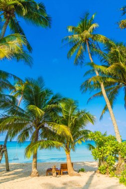 Güzel tropikal plaj ve deniz