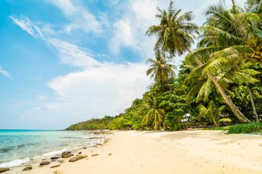 Güzel cennet ada plaj ve deniz