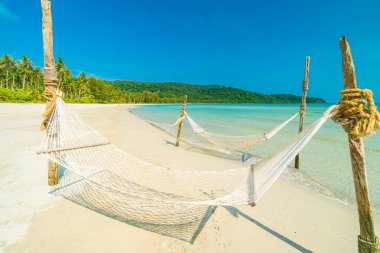 Hindistan cevizi ağaçları ve deniz ile güzel tropik sahilde arka plan hamak