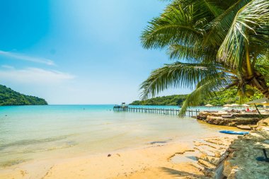 Güzel tropikal plaj ve deniz parad Hindistan cevizi hurma ağacı ile